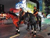 NYPD Mounted Police