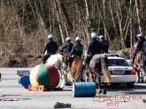 Police Horse Training