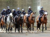 Police horses