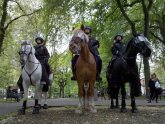 Portland Mounted Police