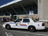 Royal Canadian Mounted Police Horse