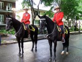 Royal Canadian Mounted Police (RCMP)