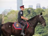 Toronto Police Mounted Unit