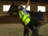 Victoria Police Mounted Branch