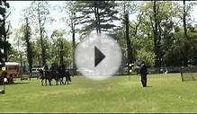 2010 May 21: Civil War Cavalry Demo by the 10th NY