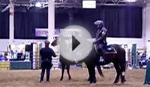Detroit Mounted Police demo Part 2