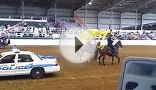 Houston and Austin Mounted patrol