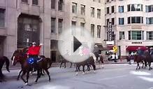 Mounted Police Downtown Cleveland Charity Ride 2013