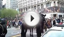 New York City upclose - NYPD mounted police