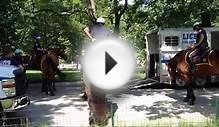 NYPD MOUNTED POLICE UNITS PREPARE FOR PARADE DETAIL AT