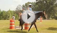 Oxford Mounted Patrol Training