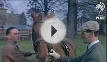Police Horse Training (1956)