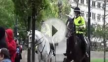 Police Horses.wmv