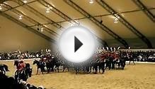 Royal Canadian Mounted Police Musical Ride Topsfield Fair 2012