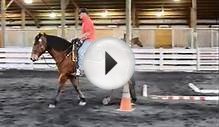 Seattle Mounted Patrol Training Day - Dozer