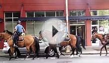 Seattle Police Mounted Patrol unit