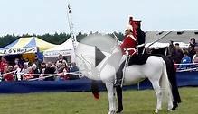 The Musical Ride of The Household Cavalry 2011
