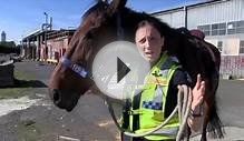 Victoria Police Mounted Branch