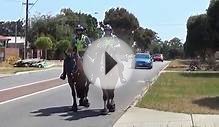 Western Australian Mounted Police on patrol.